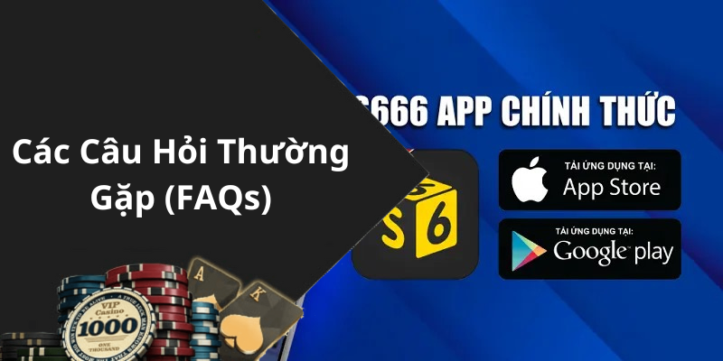 Các Câu Hỏi Thường Gặp (FAQs)