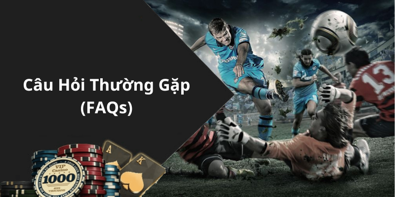 Câu Hỏi Thường Gặp (FAQs)