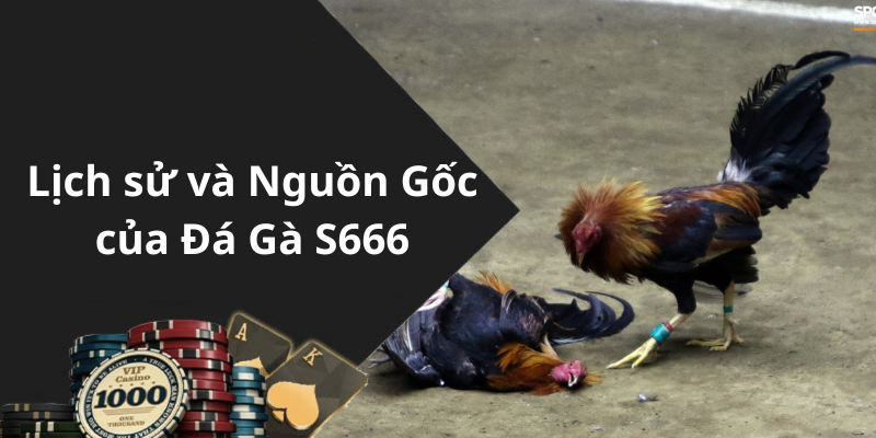 Lịch sử và Nguồn Gốc của Đá Gà S666