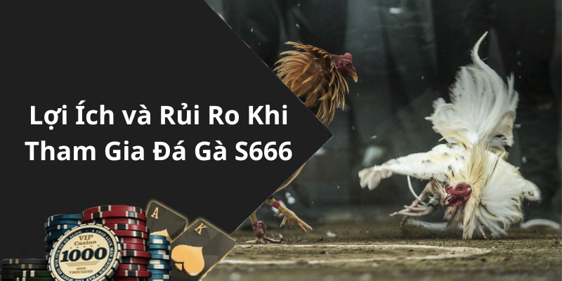 Lợi Ích và Rủi Ro Khi Tham Gia Đá Gà S666