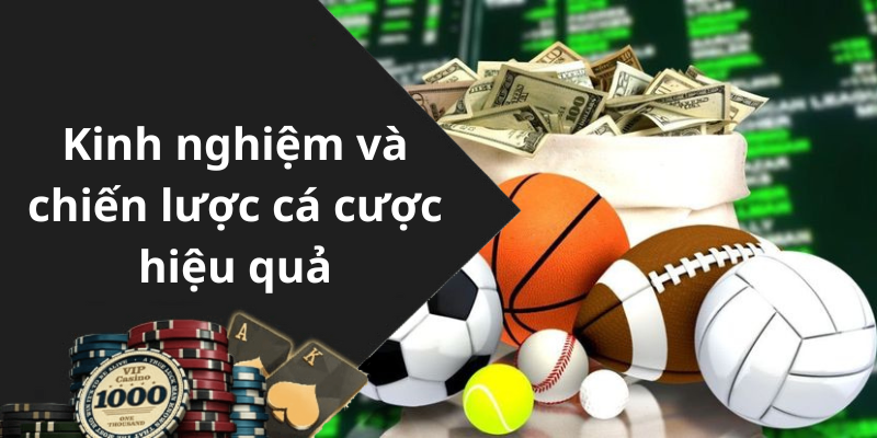 Kinh nghiệm và chiến lược cá cược hiệu quả