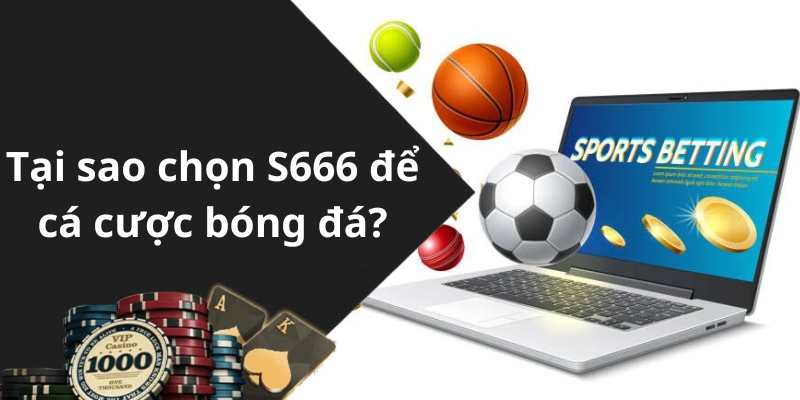 Tại sao chọn S666 app để cá cược bóng đá?