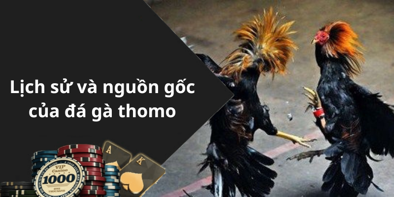 Lịch sử và nguồn gốc của đá gà thomo