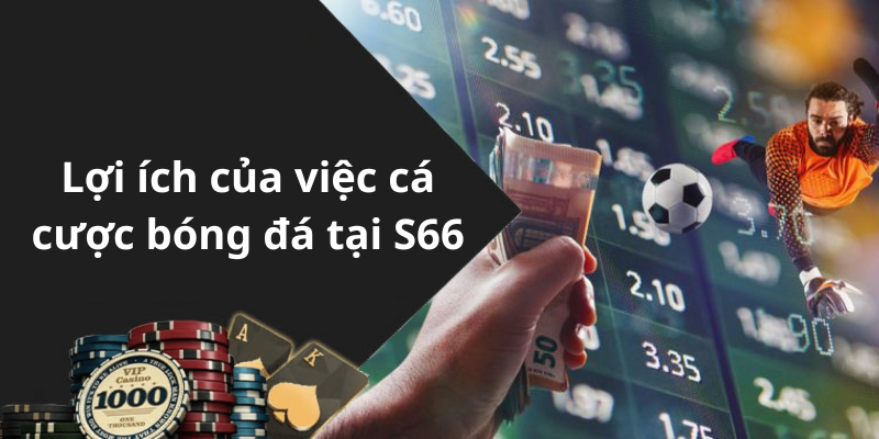 Lợi ích của việc cá cược bóng đá tại S66